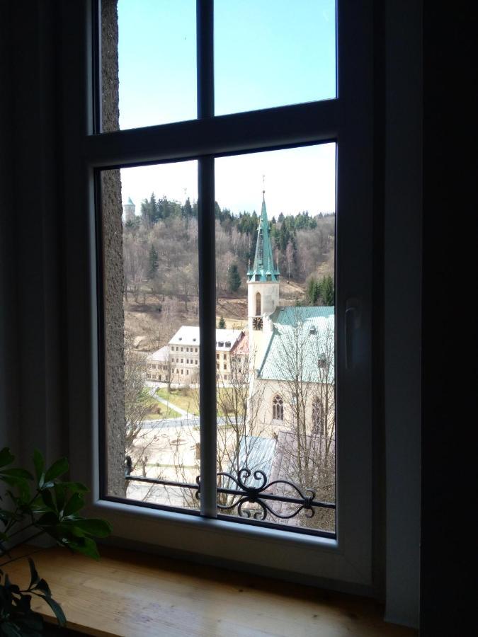 Apartman Albreit 1 Jáchymov Dış mekan fotoğraf