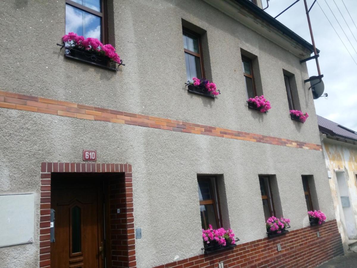Apartman Albreit 1 Jáchymov Dış mekan fotoğraf